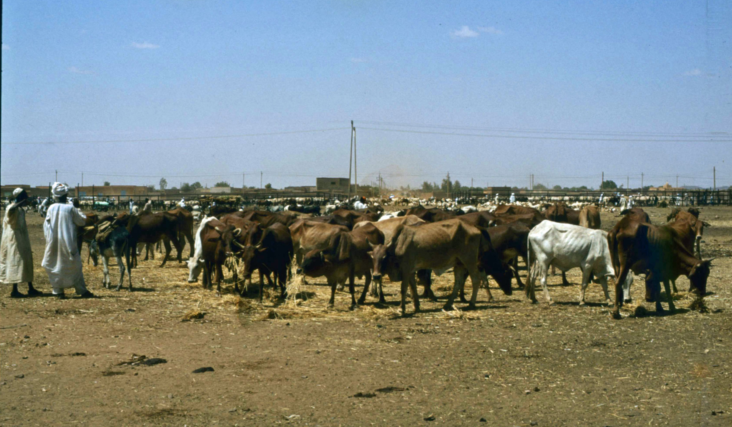 Omdurman 1980